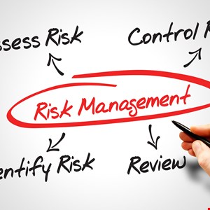 Vincenzo Calabro' | MAGERIT: Information Systems Risk Analysis and Management Methodology